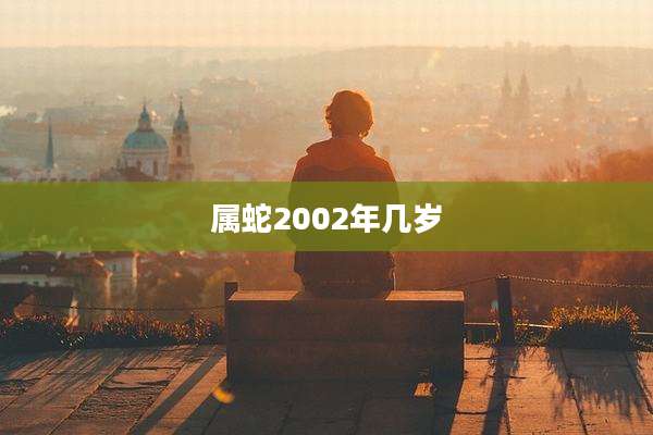 属蛇2002年几岁
