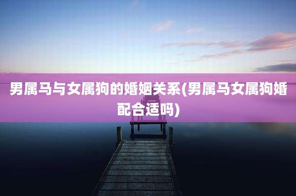 男属马与女属狗的婚姻关系(男属马女属狗婚配合适吗)