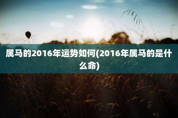属马的2016年运势如何(2016年属马的是什么命)