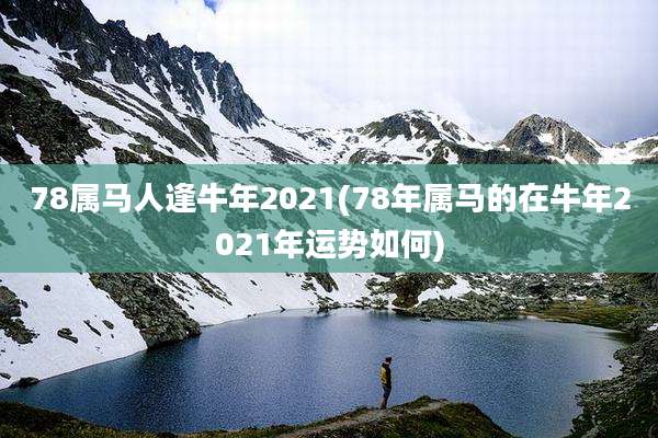 78属马人逢牛年2021(78年属马的在牛年2021年运势如何)