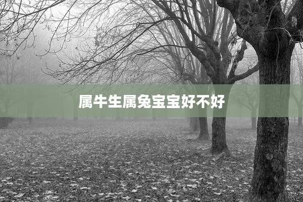 属牛生属兔宝宝好不好