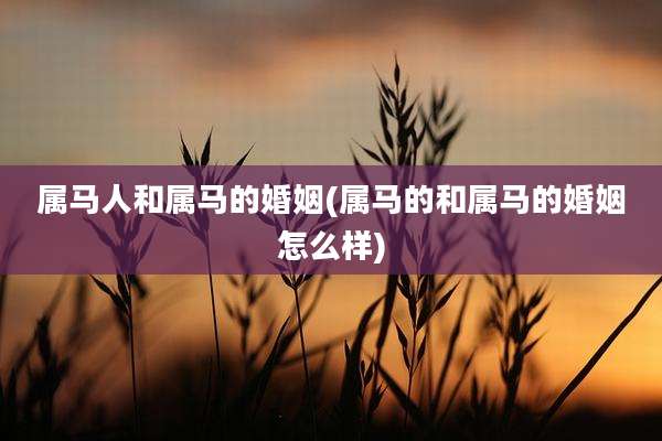 属马人和属马的婚姻(属马的和属马的婚姻怎么样)