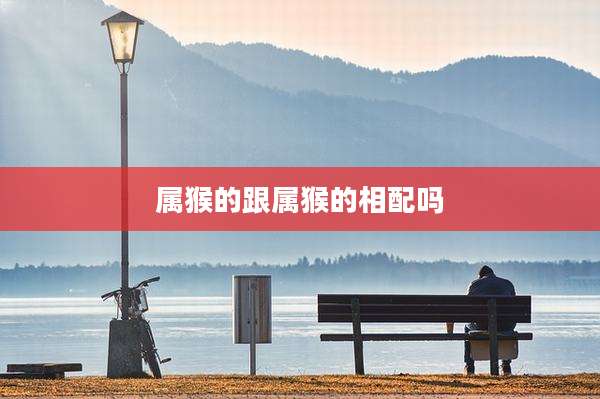 属猴的跟属猴的相配吗