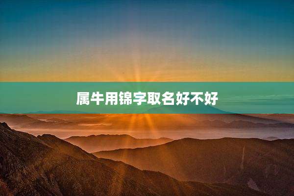 属牛用锦字取名好不好