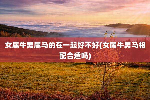 女属牛男属马的在一起好不好(女属牛男马相配合适吗)