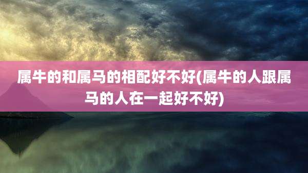 属牛的和属马的相配好不好(属牛的人跟属马的人在一起好不好)
