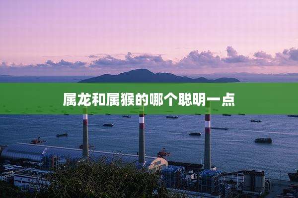 属龙和属猴的哪个聪明一点