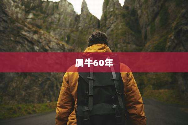属牛60年
