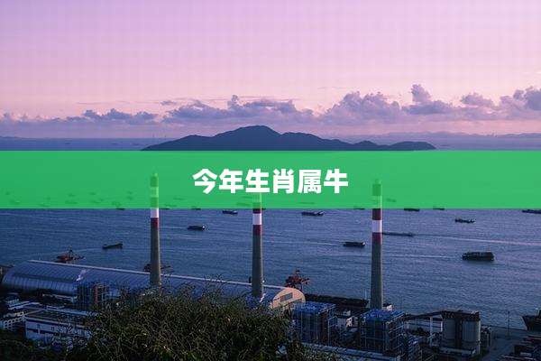 今年生肖属牛