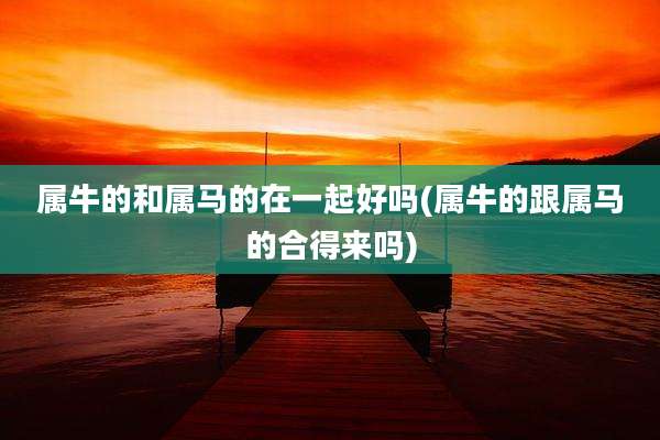 属牛的和属马的在一起好吗(属牛的跟属马的合得来吗)
