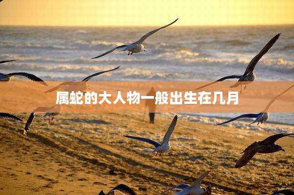 属蛇的大人物一般出生在几月