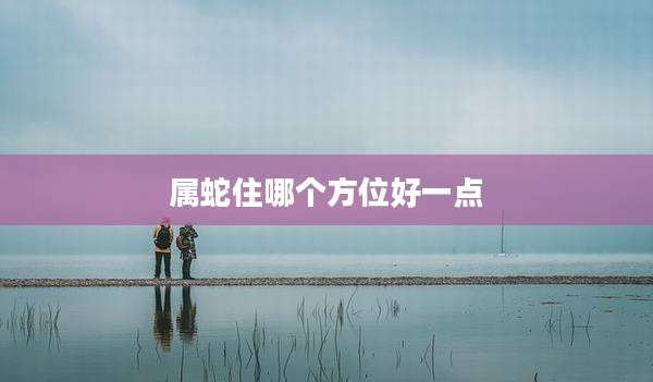 属蛇住哪个方位好一点