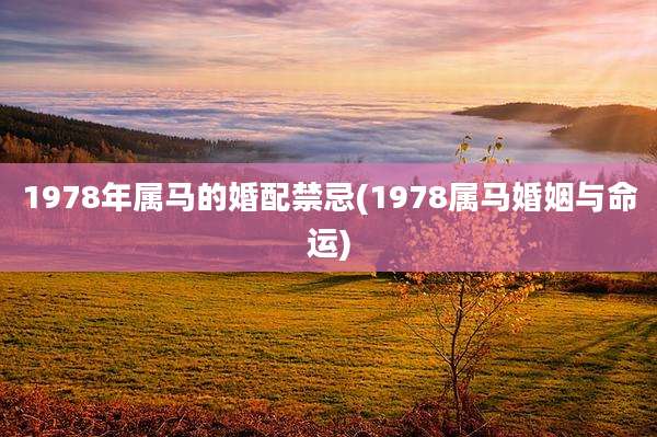 1978年属马的婚配禁忌(1978属马婚姻与命运)