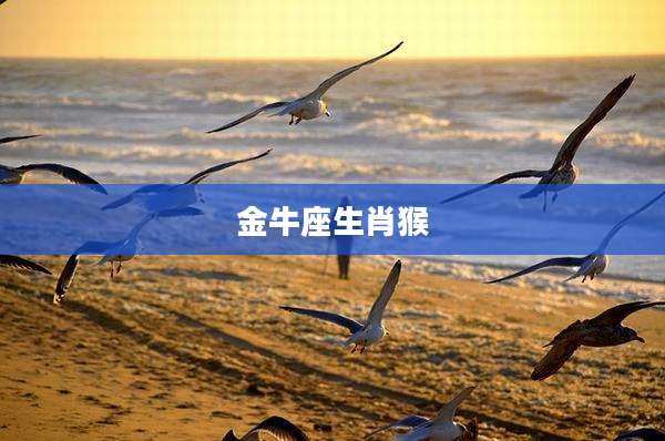 金牛座生肖猴