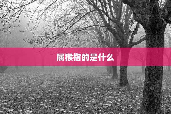 属猴指的是什么