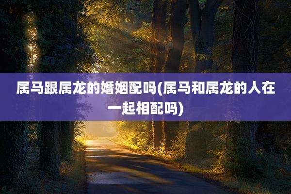 属马跟属龙的婚姻配吗(属马和属龙的人在一起相配吗)