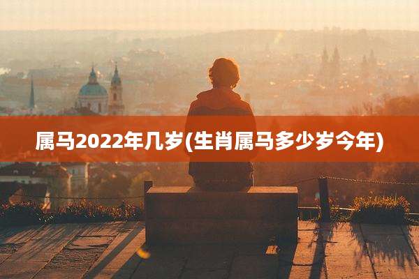 属马2022年几岁(生肖属马多少岁今年)