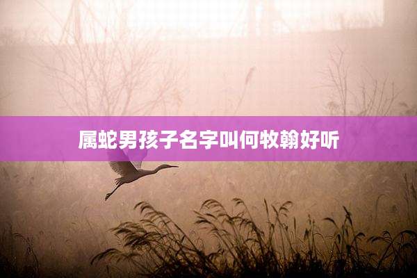 属蛇男孩子名字叫何牧翰好听