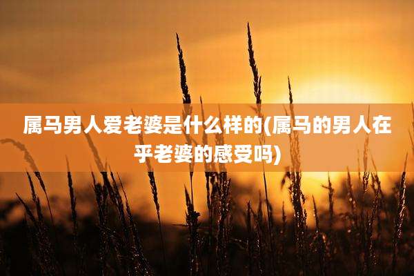 属马男人爱老婆是什么样的(属马的男人在乎老婆的感受吗)