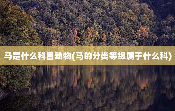 马是什么科目动物(马的分类等级属于什么科)
