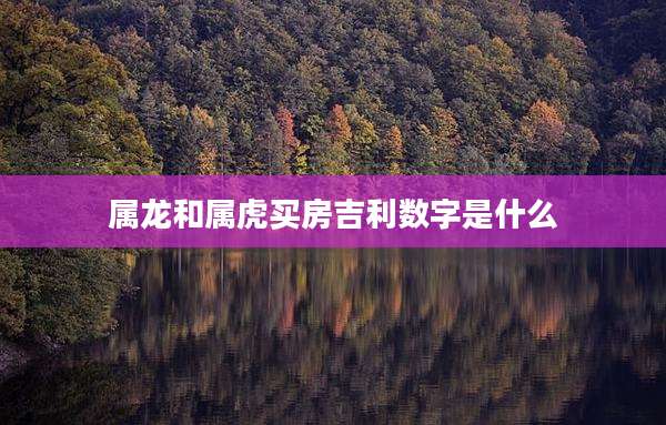 属龙和属虎买房吉利数字是什么
