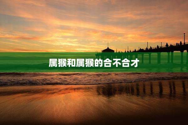 属猴和属猴的合不合才