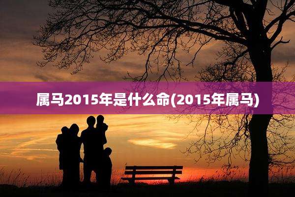 属马2015年是什么命(2015年属马)