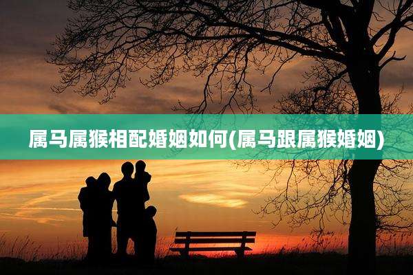 属马属猴相配婚姻如何(属马跟属猴婚姻)