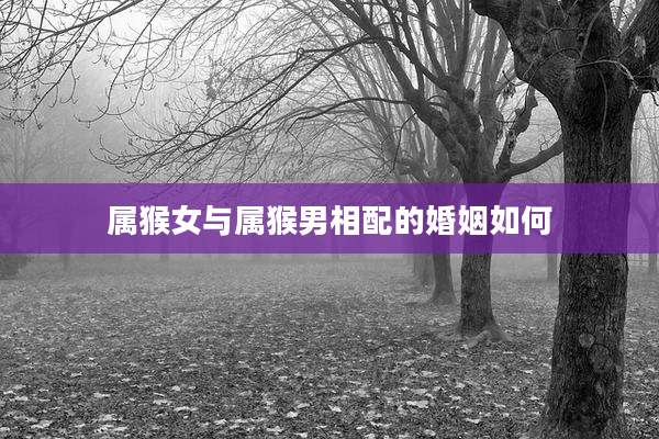 属猴女与属猴男相配的婚姻如何