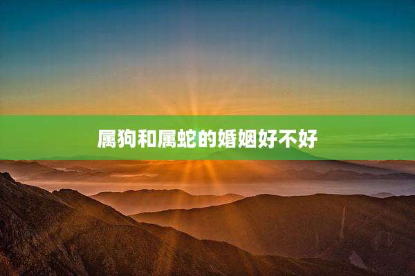 属狗和属蛇的婚姻好不好