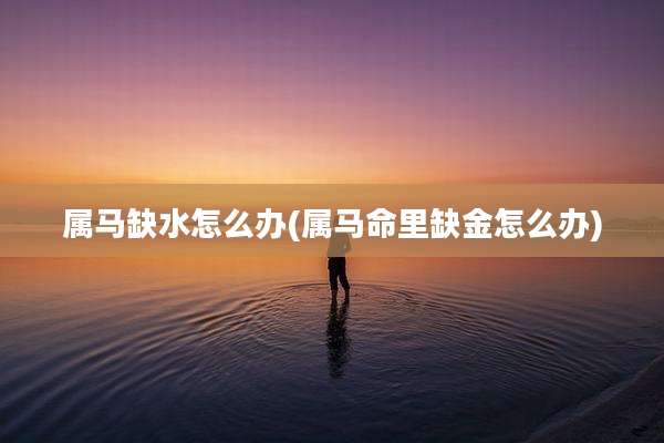 属马缺水怎么办(属马命里缺金怎么办)