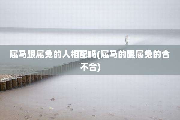 属马跟属兔的人相配吗(属马的跟属兔的合不合)