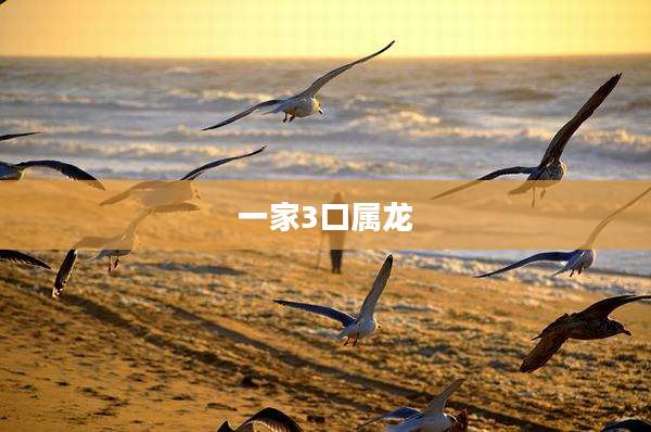 一家3口属龙