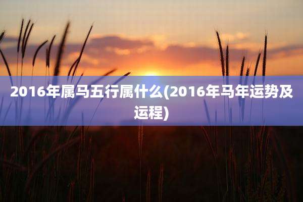 2016年属马五行属什么(2016年马年运势及运程)