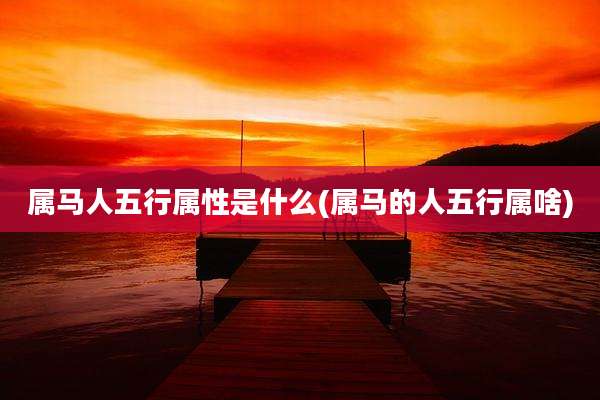 属马人五行属性是什么(属马的人五行属啥)