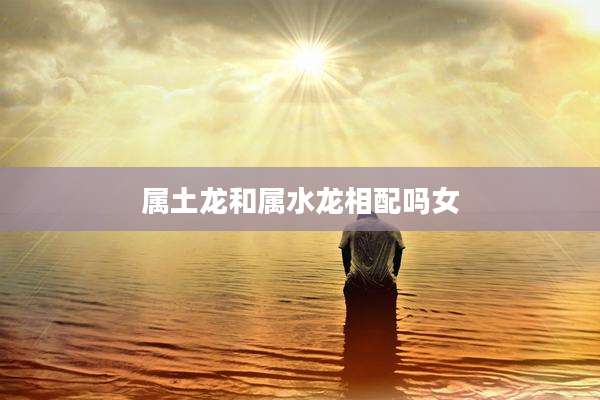 属土龙和属水龙相配吗女