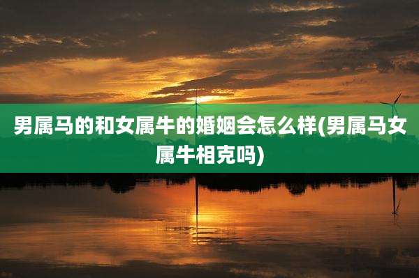 男属马的和女属牛的婚姻会怎么样(男属马女属牛相克吗)