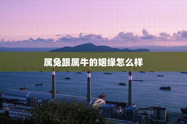 属兔跟属牛的姻缘怎么样