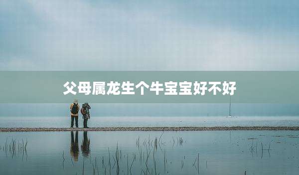 父母属龙生个牛宝宝好不好
