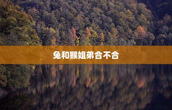 兔和猴姐弟合不合