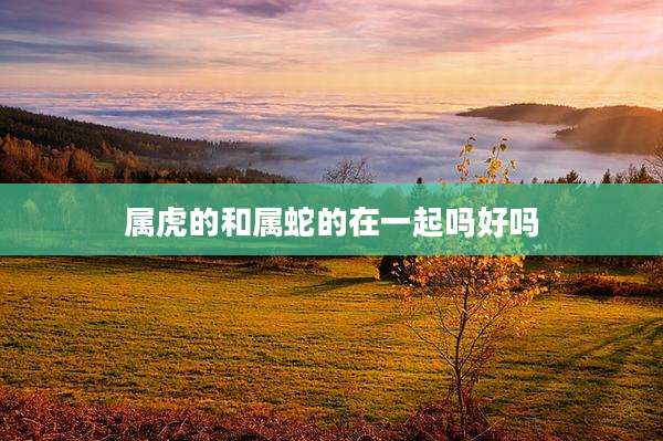 属虎的和属蛇的在一起吗好吗