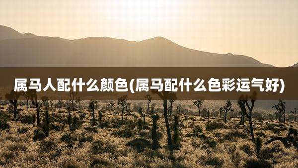 属马人配什么颜色(属马配什么色彩运气好)