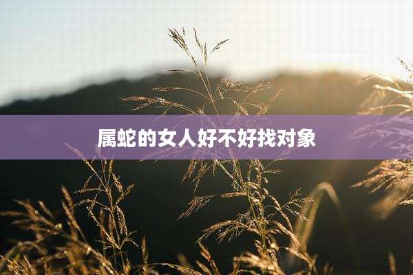 属蛇的女人好不好找对象