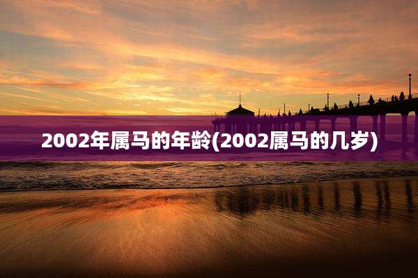 2002年属马的年龄(2002属马的几岁)