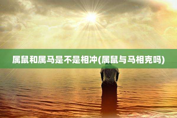 属鼠和属马是不是相冲(属鼠与马相克吗)