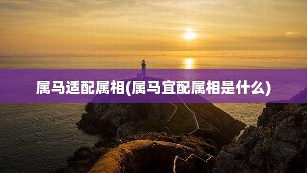 属马适配属相(属马宜配属相是什么)