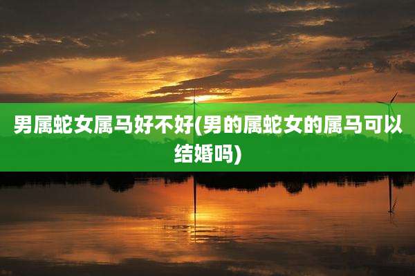 男属蛇女属马好不好(男的属蛇女的属马可以结婚吗)
