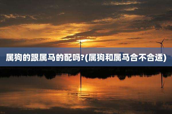 属狗的跟属马的配吗?(属狗和属马合不合适)