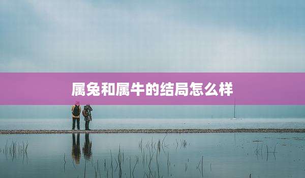 属兔和属牛的结局怎么样