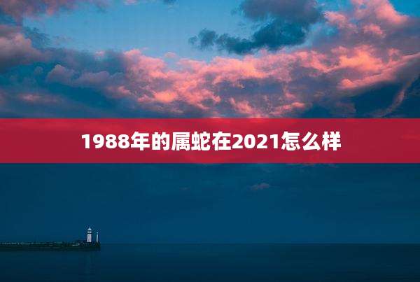 1988年的属蛇在2021怎么样